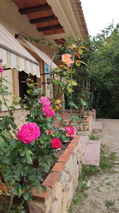 Hostal Restaurante Andra Rio Madera Esterno foto